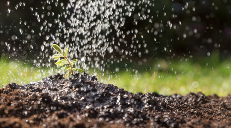 Water for agriculture