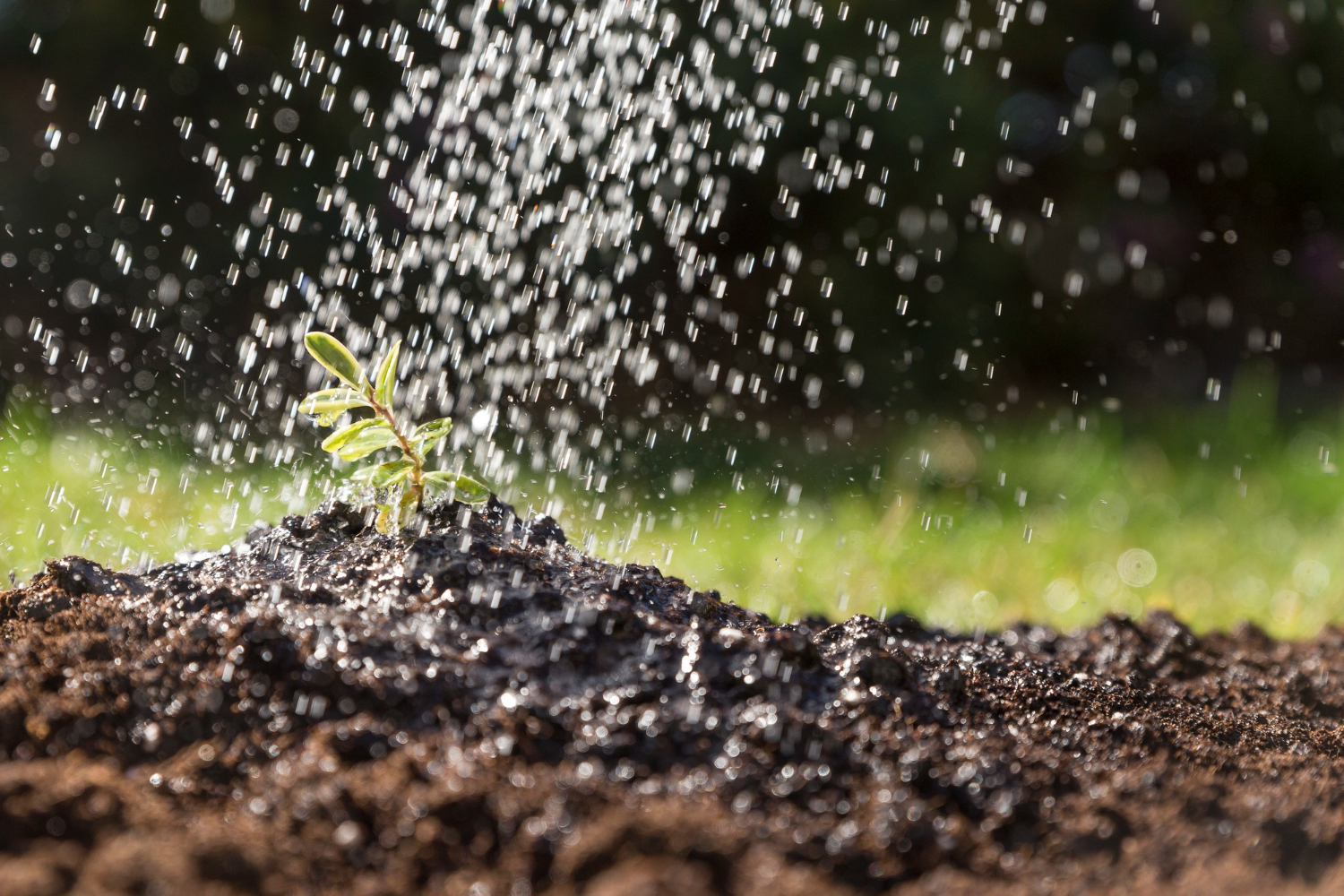 Water for agriculture