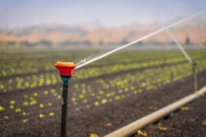 Sprinkler Irrigation